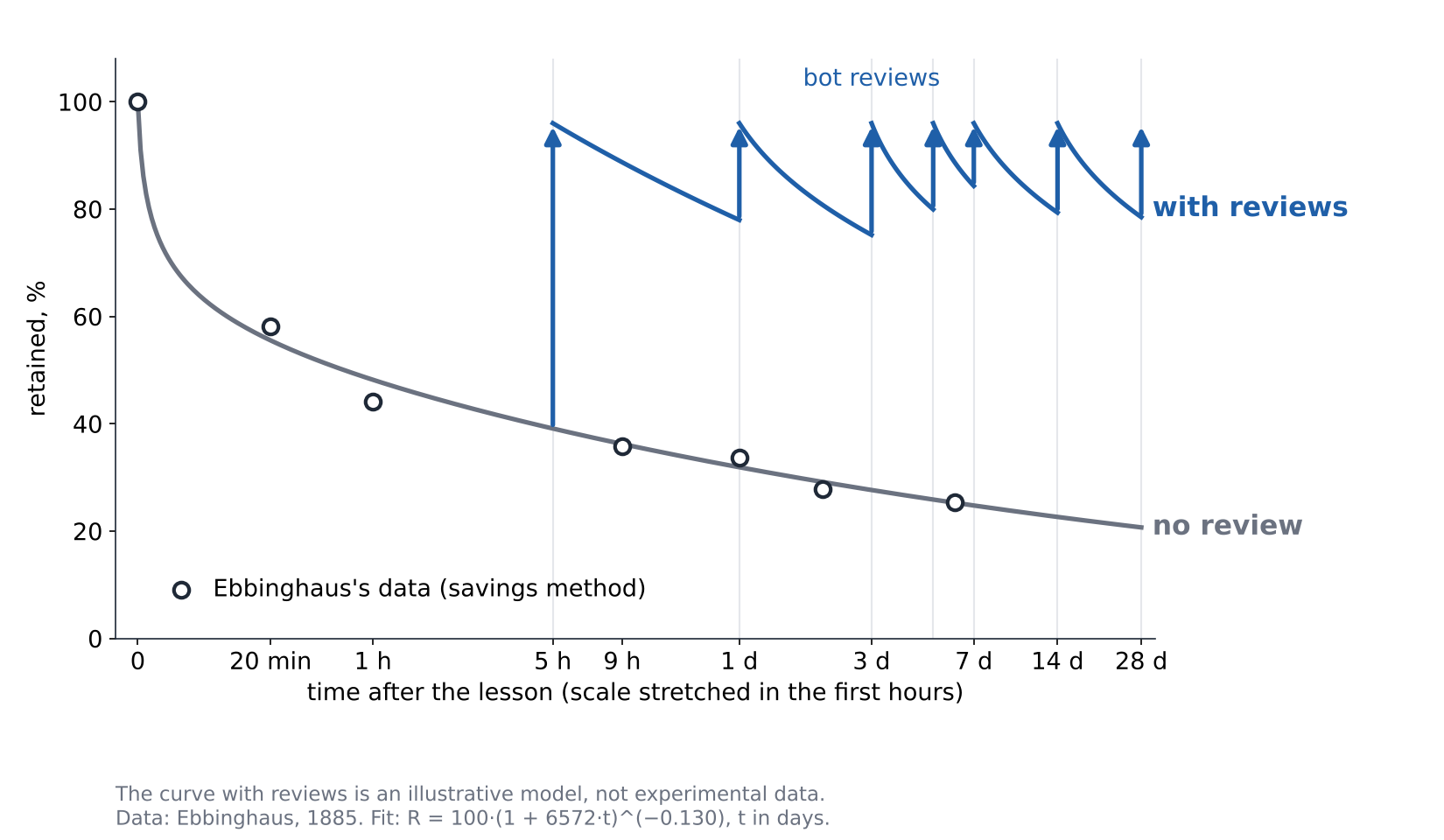 Forgetting curve: Ebbinghaus's data fall to about a third of the material within a day and a quarter within six days; each bot review brings the material back, and the next drop is slower